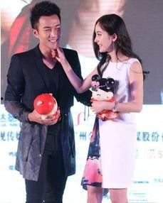 娱乐圈爆料杨幂刘恺威,娱乐圈的悲欢离合